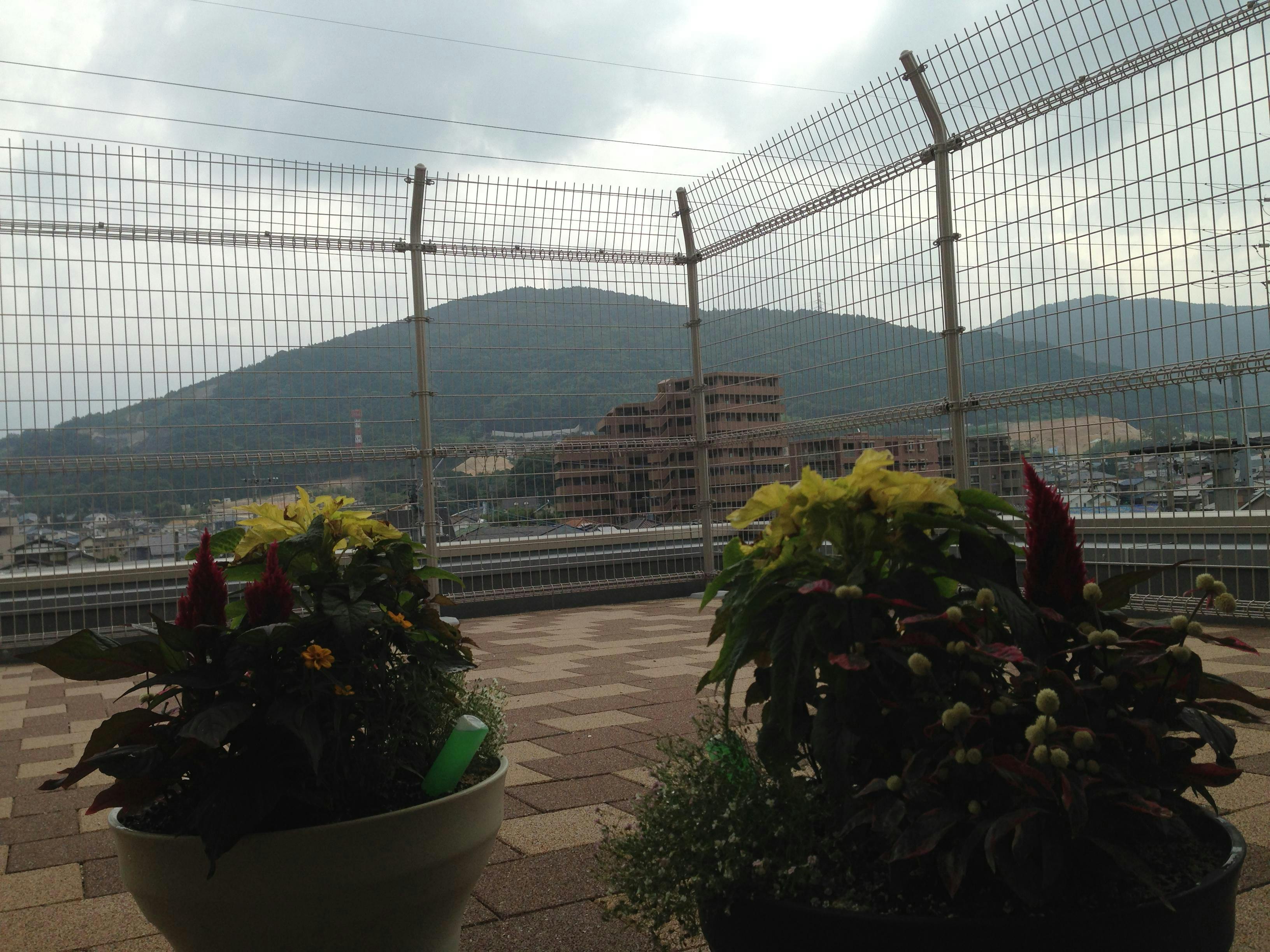 ライフパートナー大野城 テスト