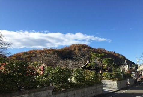 そんぽの家Ｓ高尾 周辺