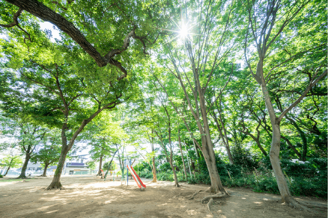 オウカス志木 星の森児童遊園地