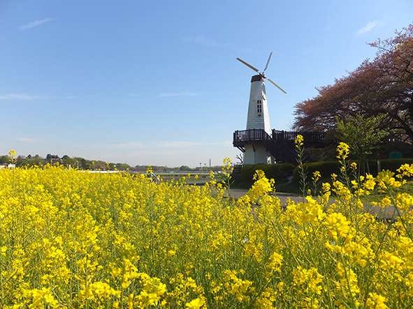 介護付有料老人ホームみんなの家・土呂栄光荘 市民の森・見沼グリーンセンター