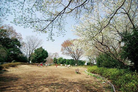 アズハイム横浜東寺尾 白幡公園