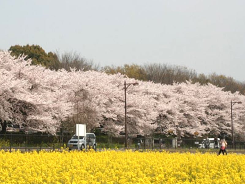 ハーウィル大宮土呂 市民の森