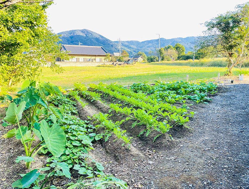 愛の家グループホーム石岡山吹 菜園