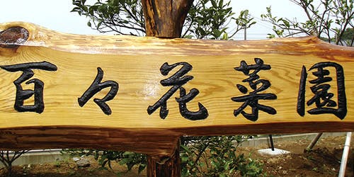 有料老人ホーム 百々花 菜園