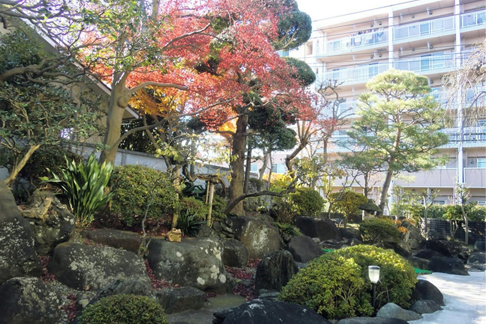 せらび芦花公園 庭