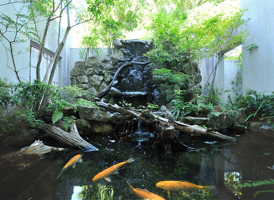 ラビアンローズ高槻 庭園