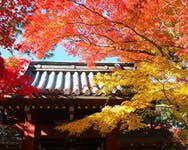 イハナハウス 本土寺