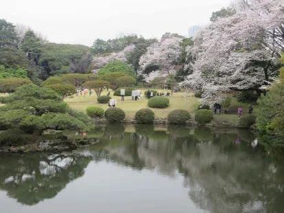 ココファン四谷 新宿御苑