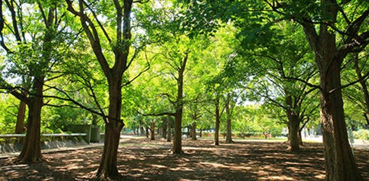 グランクレール世田谷中町シニアレジデンス 駒沢オリンピック公園