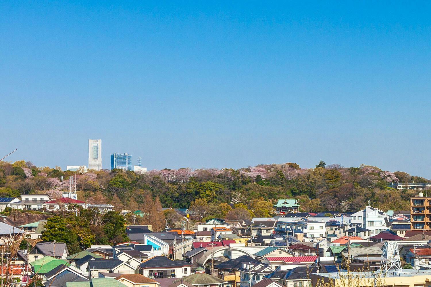 ヒルデモア三渓園 眺望