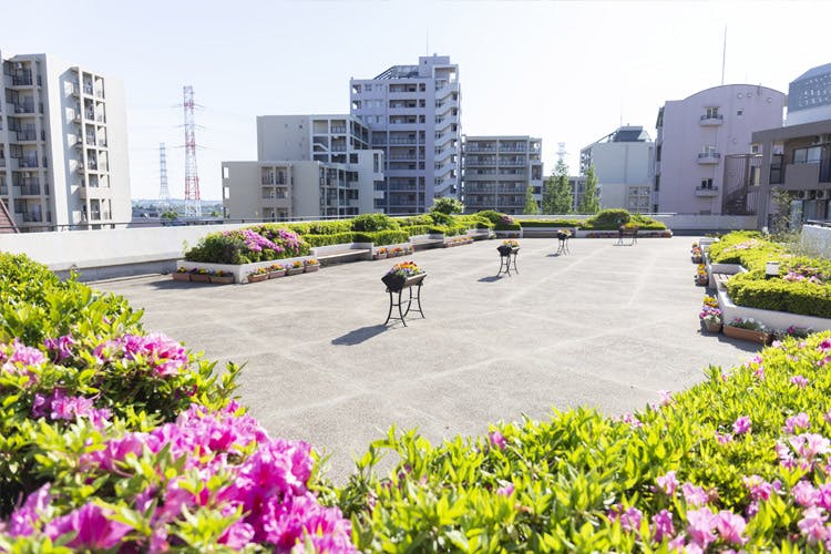 ゆうらいふ横浜 屋上広場