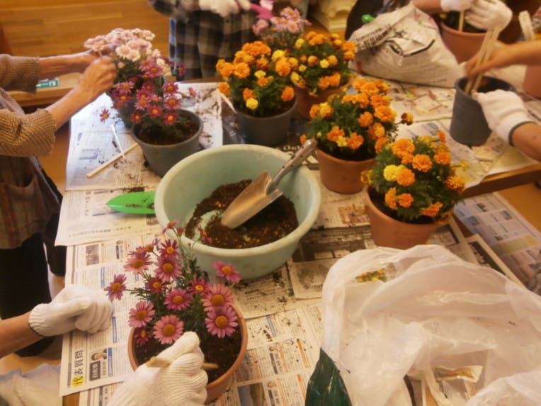 そんぽの家Ｓ梶が谷 鉢植え