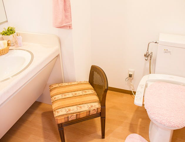 リアンレーヴ高田馬場 居室(洗面台・トイレ)