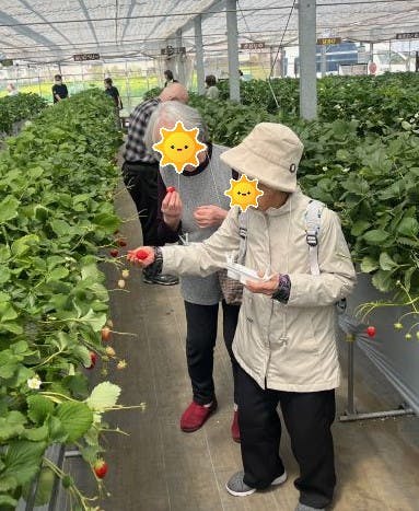 ニチイケアセンター大野台 イチゴ狩り