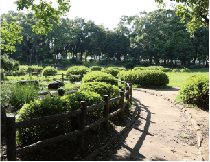 ディーフェスタ西船橋 行田公園