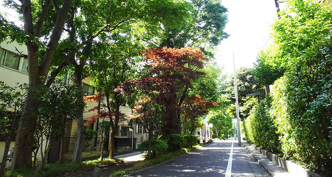 ヒルデモア駒沢公園 呑川柿の木坂支流緑道