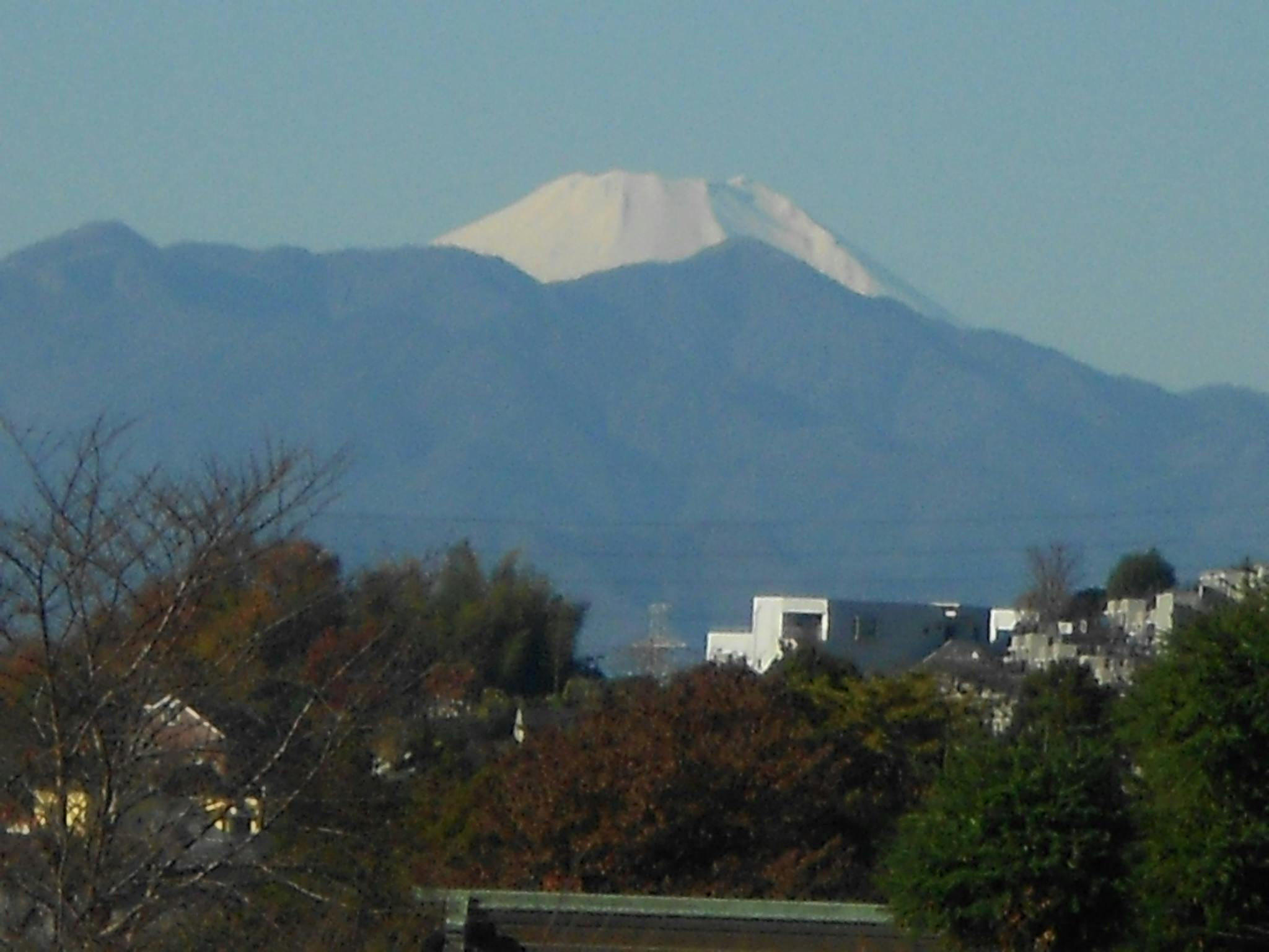 ニチイケアセンター川崎長沢 眺望