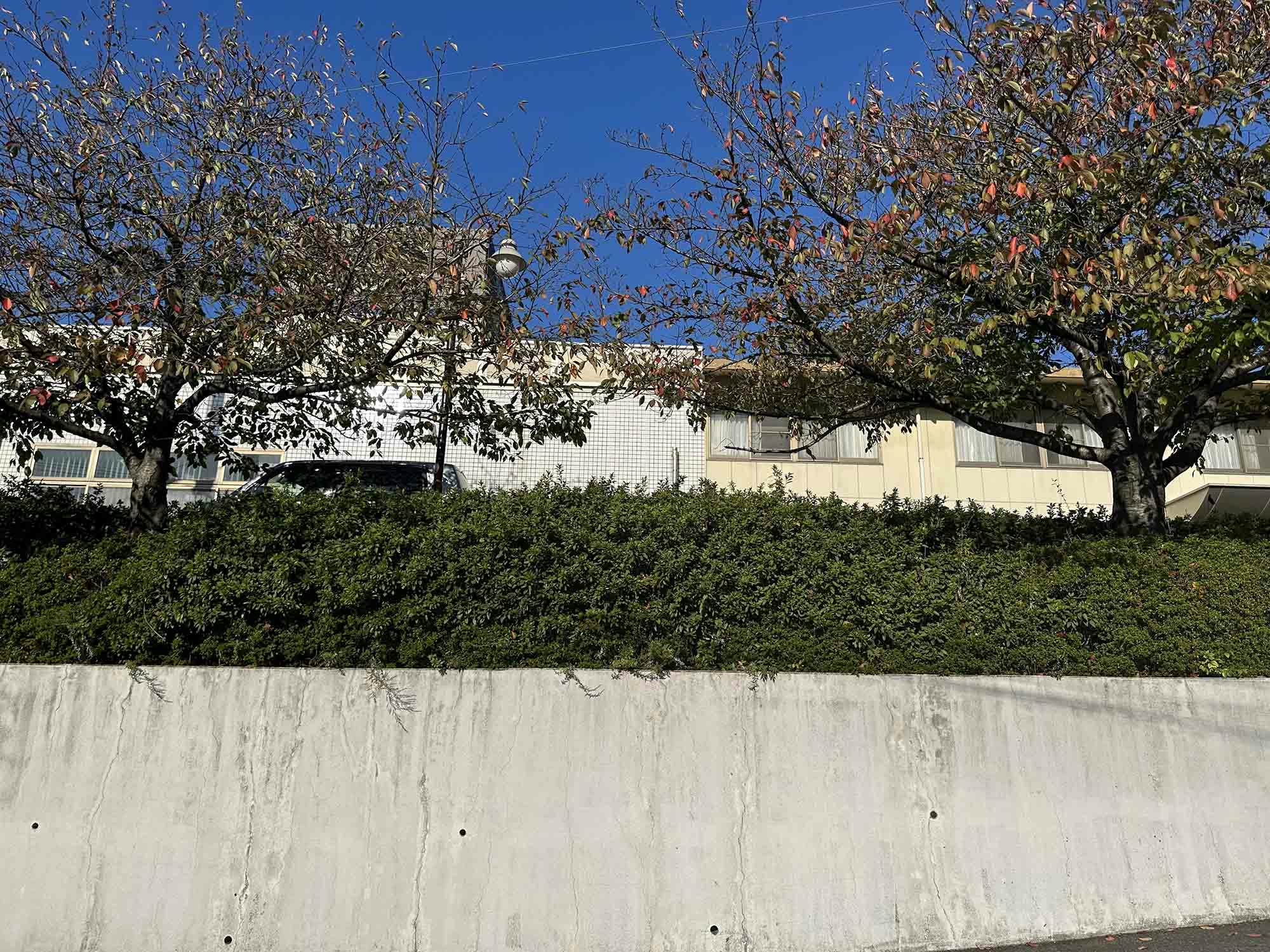 介護老人保健施設みやこ 外観