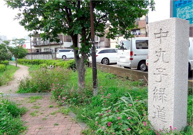 グランドマスト武蔵小杉石水邸 中丸子緑道