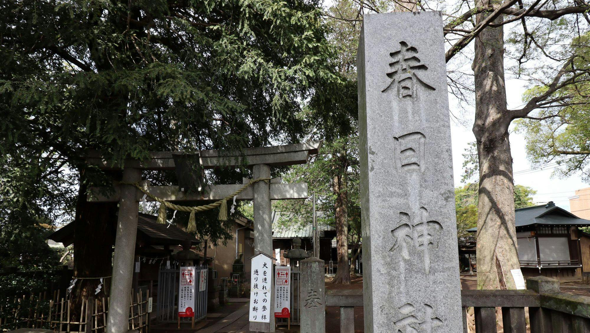 トラストガーデン杉並宮前 春日神社