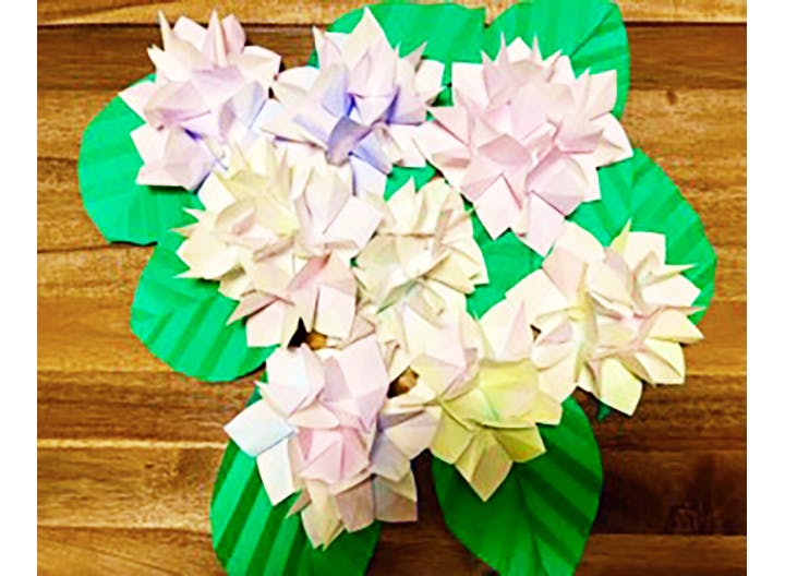 グループホームたのしい家西陣 紫陽花