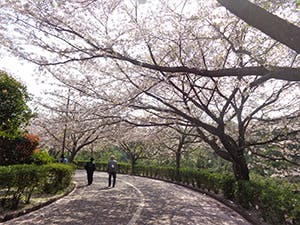 グッドタイムホーム16・春日公園 春日公園