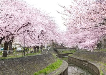 フローレンスケア荻窪 善福寺川緑地
