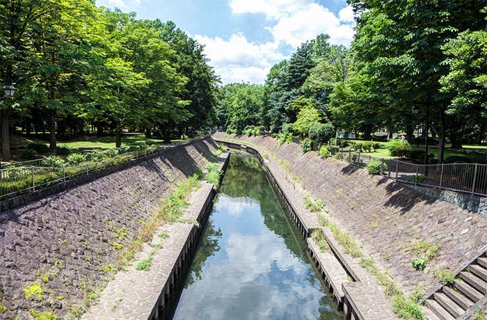 チャームプレミア永福 和田掘公園
