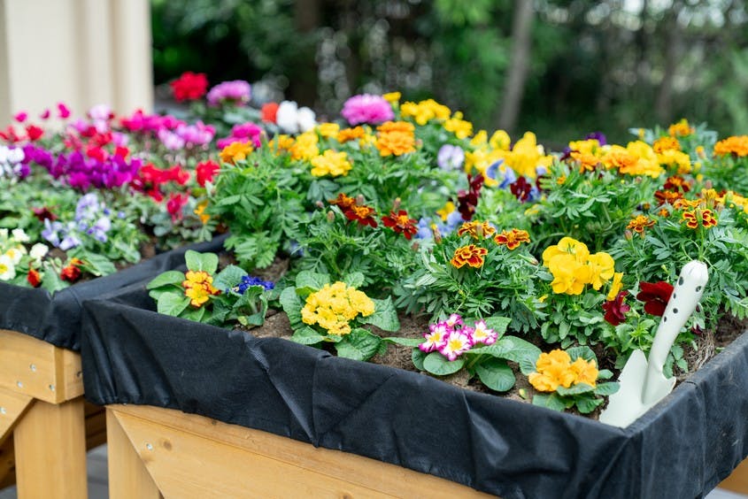 リハビリホームグランダ哲学堂公園 ウッドデッキ