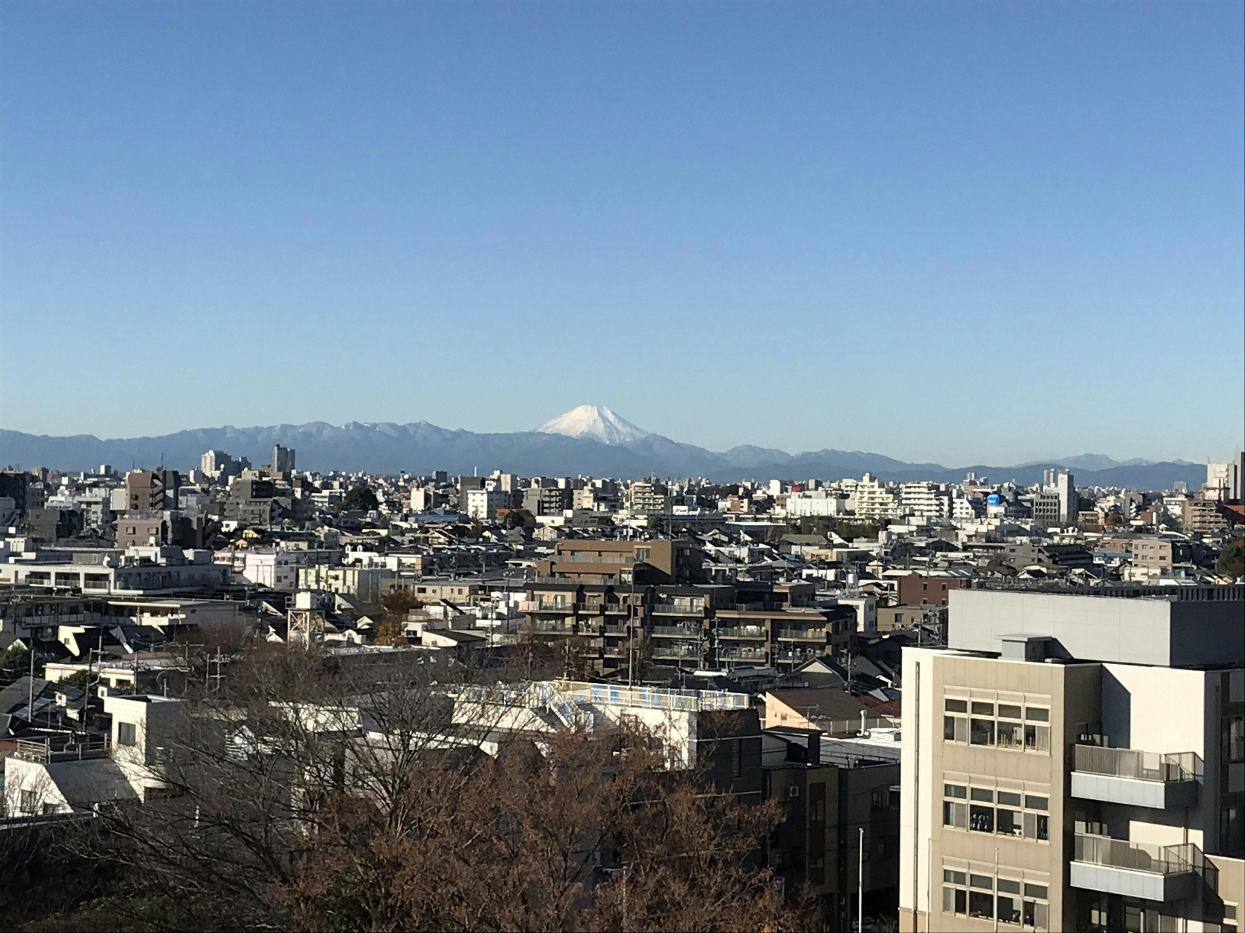 グランドマスト江古田の杜 眺望