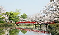 介護付有料老人ホーム メディカルフローラ岩槻 岩槻城址公園