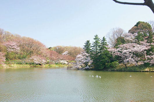 アズハイム横浜東寺尾 三ツ池公園