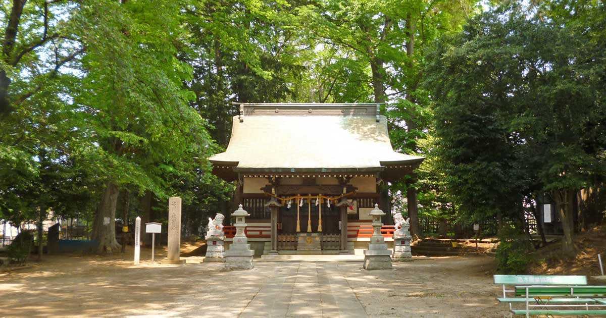 介護付有料老人ホームすこや家・志木柏町 館氷川神社
