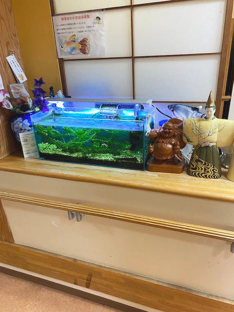 ホームステーションらいふ海老名 水槽