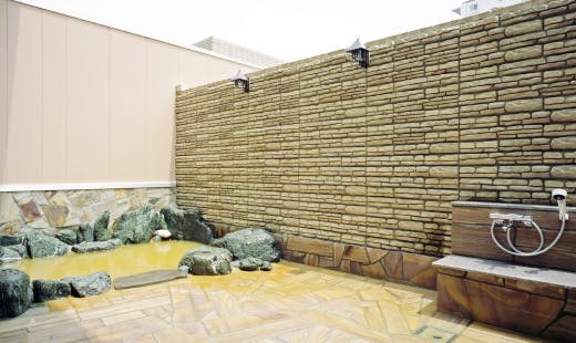 ブリスイン野田新館 天然温泉
