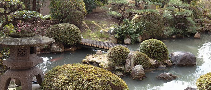 アルファリビング岡山後楽園 日本庭園