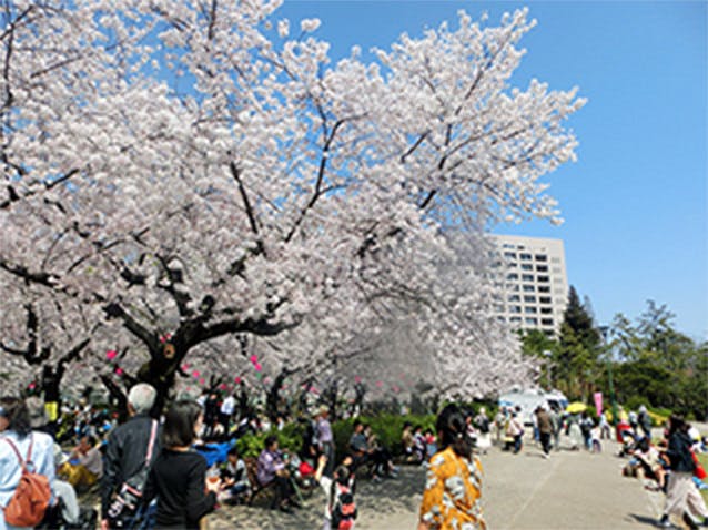 ブランシエール鶴舞公園 鶴舞公園