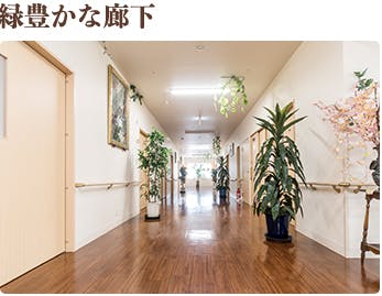みそらメディカルマイホーム 廊下