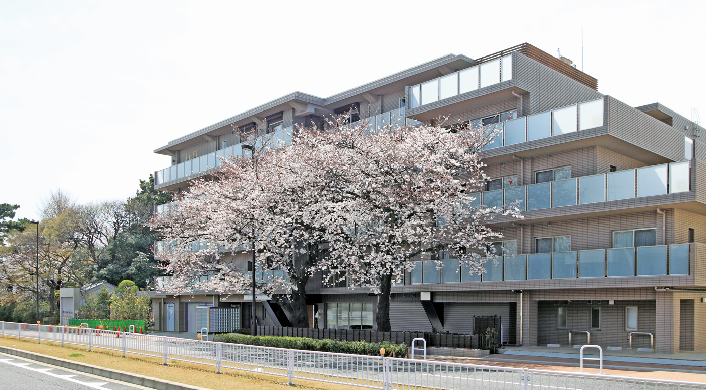 アリア等々力の杜 外観