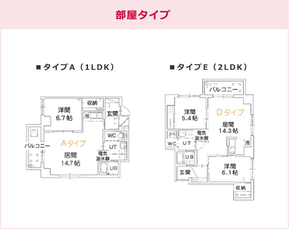 ウェルシータワー伊達 間取図