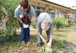 グッドタイムナーシングホーム・柏高柳 園芸