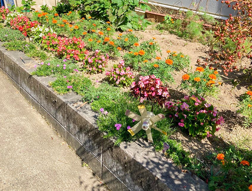 愛の家グループホーム福富 花壇