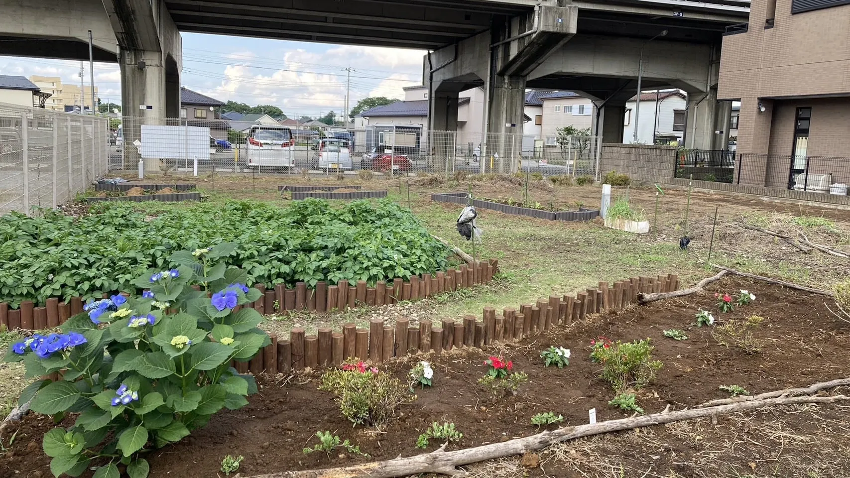 グループホーム和み 伊奈 農園