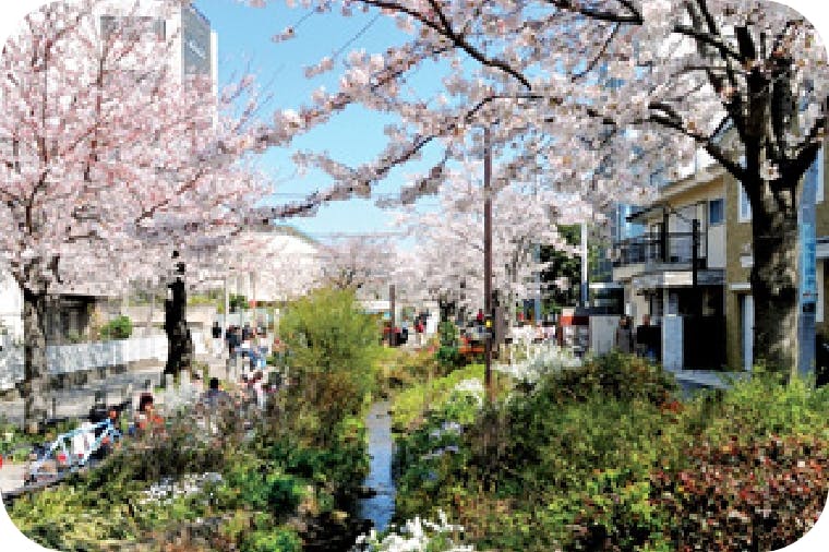 アライブ世田谷代田 北沢川緑道