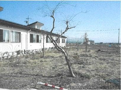 住宅型有料老人ホーム樹の花 畑