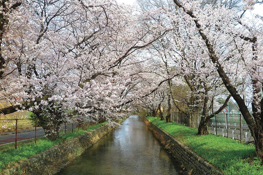 ガーデンテラス千歳烏山 玉川上水