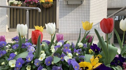 ユアサイド千代ヶ丘 花壇