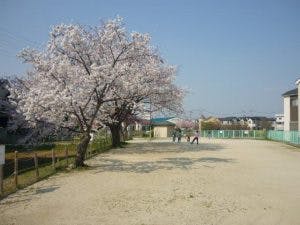 グループホームみんなの家・草加 公園