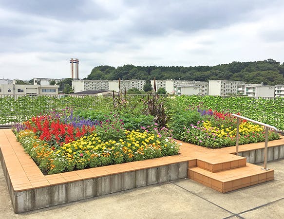リアンレーヴ町田 屋上庭園