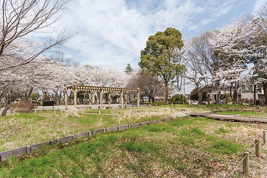 アズハイム横浜いずみ中央 泉中央公園